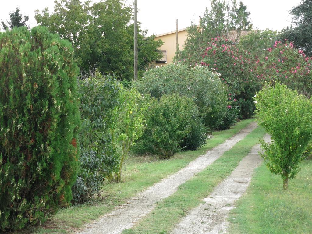 Al Mandorlo Casa Vacanze Витербо Экстерьер фото