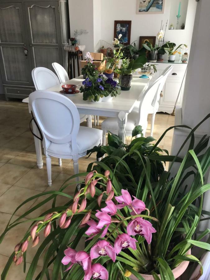 Al Mandorlo Casa Vacanze Витербо Экстерьер фото